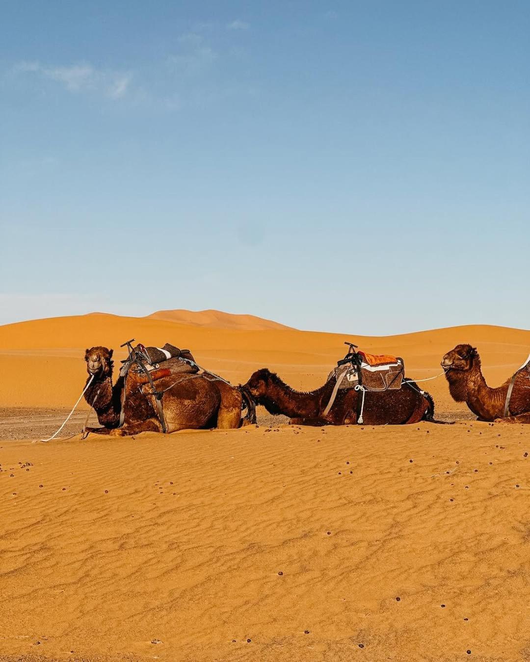 Merzouga Morocco Desert Luxury Camp Dış mekan fotoğraf